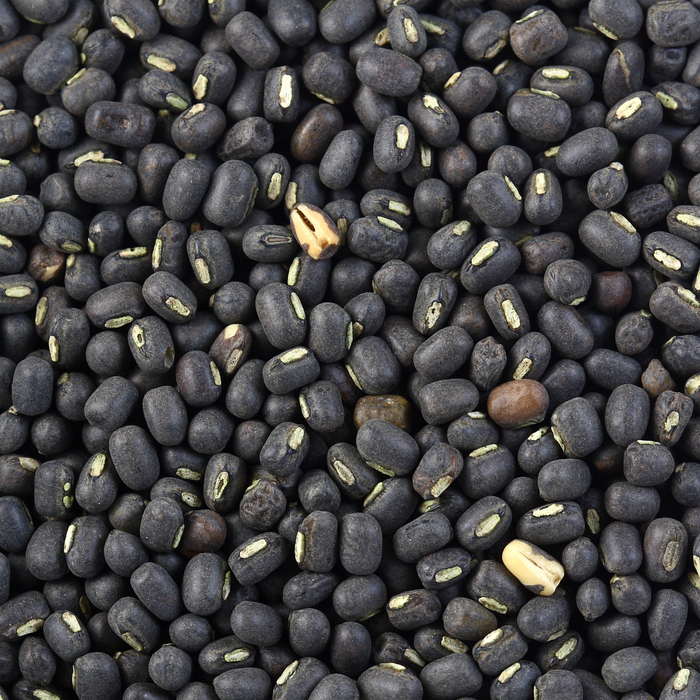 Rani Urid / Urad Whole Black (Matpe Beans with Skin) Lentils 4lbs (64oz) Bulk ~ All Natural | Indian Origin | Gluten Friendly | NON-GMO | Vegan