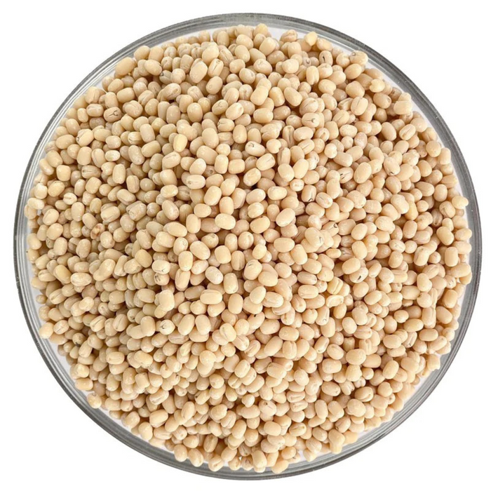 Rani Urid/Urad Gota White (Matpe Beans Skinless) Indian Lentils 400oz (25lbs) 11.36kg Bulk Box ~ All Natural | Gluten Friendly | NON-GMO | Vegan | Indian Origin